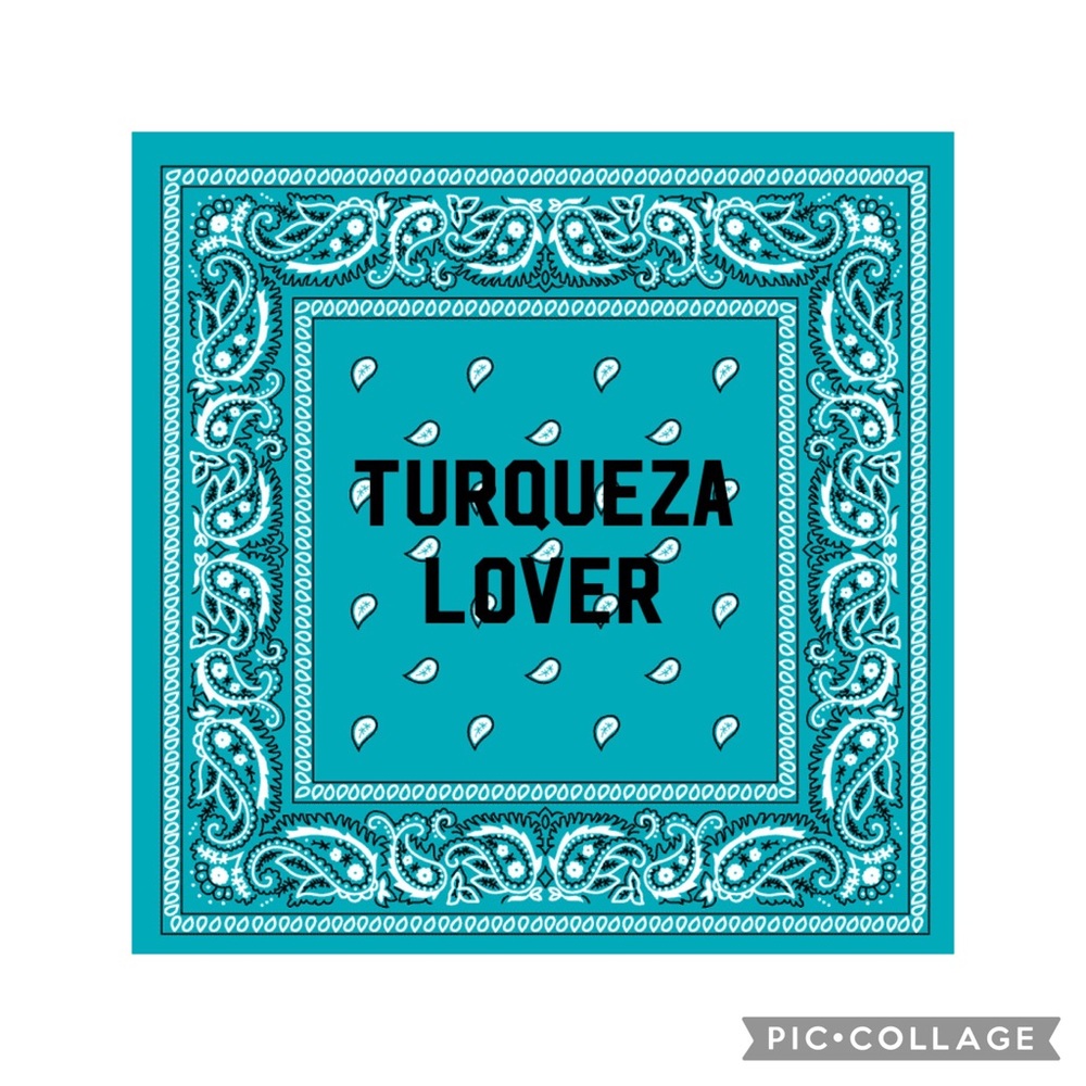 Meet your Posher, Turquoise